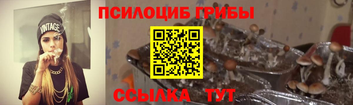 Северск  Галлюциногенные грибы ЛСД  Вход с VPN 